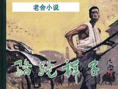 今日看料.com